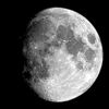 new moon